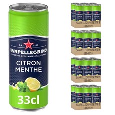 SANPELLEGRINO 聖沛黎洛 氣泡水果飲料 檸檬薄荷口味, 330ml, 24個