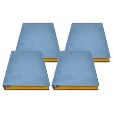 JOY STAR 大人系列 資料鐵夾 30孔, 若水, 4個