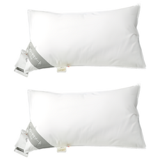 理享家 日本伊豆飯店指定枕頭 好好睡枕芯 羽絨枕頭 60 x 33 x 12cm, 白色, 2個