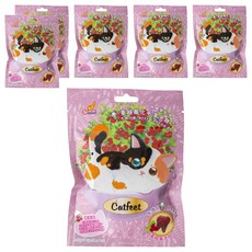 Catfeet 呼嚕愛乾淨 蔓越莓化毛潔牙餅, 牛肉, 60g, 6包