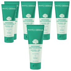 PHYTO DERMA 朵蔓 草本頭皮磨砂淨化霜，含杏桃殼磨砂顆粒，適用於所有頭皮類型，150ml, 6條