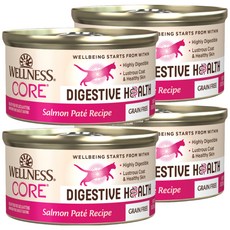 WELLNESS 寵物健康 CORE 腸胃道消化機能主食罐 高消化 亮麗皮毛 無穀, 新鮮鮭魚, 85g, 4罐