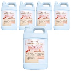 FUN馬過來 PH7 中性抗菌洗手乳 營業用, 3.8L, 5桶