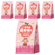 Vilson 米森 無加糖蘋果脆片5袋入 天然健康零食, 40g, 5袋