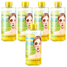 AriuL 艾藜兒 官方直營 淨膚保濕眼唇卸妝油, 5個, 300ml