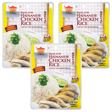 TEAN'S GOURMET 田師傅 海南雞飯醬料 無添加防腐劑, 200g, 3包