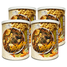 NATURAL RULE 自然法則 全天然堅果素香鬆, 無防腐劑, 無人工添加劑, 全素, 300g, 4罐