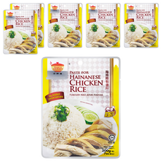 TEAN'S GOURMET 田師傅 海南雞飯醬料 無添加防腐劑, 200g, 6包