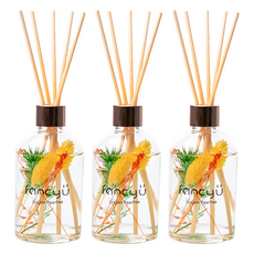 Fancy U 浮游花限定款室內擴香瓶 (200ml), 英國梨小蒼蘭 English Pearfree, 3瓶
