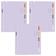 珠友文化 B5 PP筆記 26孔 HP-53005-02 280 x 220 x 25mm, 柔紫色, 3本