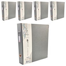 JOY STAR Be Myself 時尚新彩4孔資料夾 大孔徑, 星銀灰, 5個