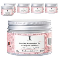 RonghiRi 朗奇林 北美聖草保濕晚安凍膜 深層保濕 舒緩乾燥 提升肌膚光澤, 6件, 120ml