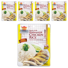 TEAN'S GOURMET 田師傅 海南雞飯醬料 無添加防腐劑, 200g, 5包
