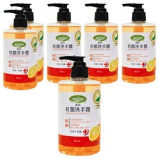 潔芬生活 抗菌洗手露 柑橘, 精油萃取 香甜清新 泡沫豐富 溫和不刺激, 350ml, 6瓶
