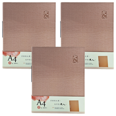 JOY STAR 大人 3孔資料夾 A4, 亭亭, 3個