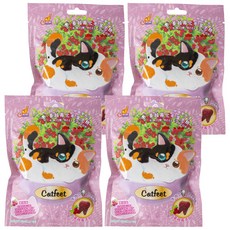Catfeet 蔓越莓化毛潔牙餅, 牛肉, 60g, 4包