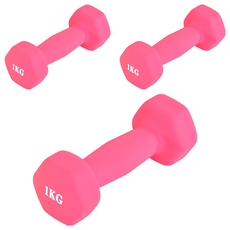 鑄鐵包膠小啞鈴棒 矽膠防滑設計 25.5 x 20 x 20cm 粉色 3個 1kg