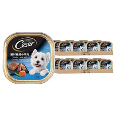 Cesar 西莎 狗罐頭 100g x 6盒 濕糧 方便餵食 補充營養, 鄉村嫩燒小羊肉, 48罐