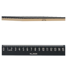 NUSIGN ABS 15公分刻度尺, 黑色, 16個