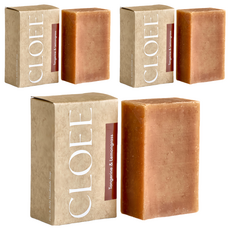 CLOEE 2in1好好皂 柑橘 檸檬草臉部身體皂 - Tangerine & Lemongrass, 103g, 3個