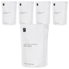 Saengong 生活工作所 洗衣槽清潔劑 450g 適用於一般/滾筒洗衣機, 5包