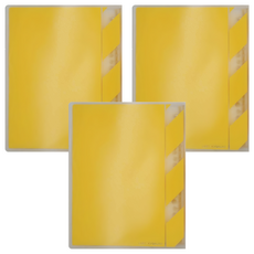 KyOKUTO 20孔半透明彩色資料夾 A5, 粉黃色, 3本