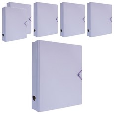 珠友文化 A4 D型夾集卡冊 有洞款 4孔, 紫色, 6個