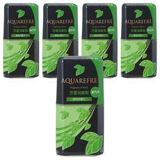 獅子化學 廁所室內用消臭劑 森林香, 400ml, 5瓶