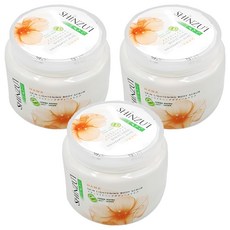 SHINZU'I 峇里島HANA去角質霜-溫和去角質 光滑肌膚 身體磨砂膏, 200g, 3入