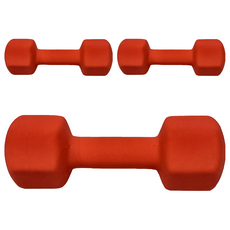 SUCCESS 成功 防滑塑身啞鈴 4kg, 3個