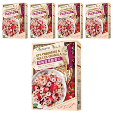 Vilson 米森 草莓莓果脆麥片, 350g, 5盒