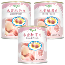 TROJAN 傳佳 水蜜桃果肉, 850g, 3罐