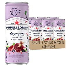 SANPELLEGRINO 聖沛黎洛 氣泡水果飲料 石柳黑加侖口味, 330ml, 6個