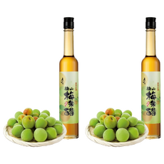 梅問屋 台灣梅山濃縮梅果醋, 510g, 2瓶