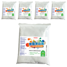 SUN SIN 三新立潔 增艷淨白素補充包, 含氧量13%, 雙氧清潔 漂白 增艷一次完成, 1KG, 5包