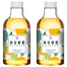 SOAPBERRY 古寶無患子 檸檬泡沫水垢清潔劑補充瓶 500g 天然檸檬酸 浴室清潔, 2瓶