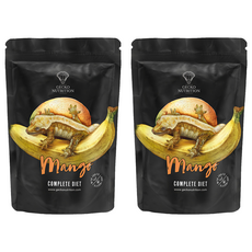 GN Gecko Nutrition GN果泥 芒果口味 100g 2入 即食方便 促進食慾