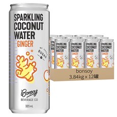 bonsoy 氣泡薑汁椰子水, 3.84kg, 12罐