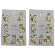 Ethos 藝舍卡片 內頁10入資料夾 31 x 24cm, 夢幻貓, 2本