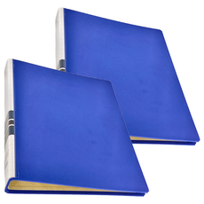 REGINA 立強牌 D型三孔 R8403D 320 x 260 x 40mm, 藍色, 2個