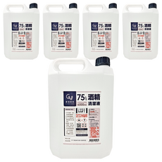慶揚實業75%酒精清潔液 居家辦公環境清潔消毒 防疫抗菌必備, 4L, 5桶