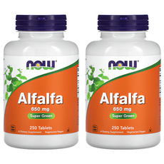 Now 健而婷 紫花葉綠素 650mg 超級綠色, 250顆, 2罐