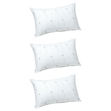 長效抗菌枕 100%聚酯纖維 台灣製, 45 x 75cm, 3個