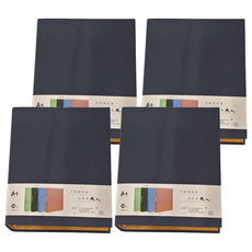 JOY STAR 大人系列 資料夾 30孔 A4, 墨舞, 4個