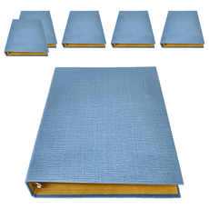 JOY STAR 大人系列 資料鐵夾 30孔, 若水, 6個