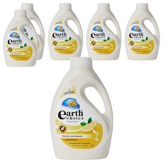 Earth Choice 植萃洗碗機洗碗粉 1kg - 強效去油, 檸檬清香, 6瓶