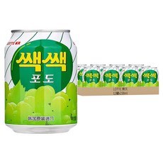 LOTTE 樂天 粒粒葡萄汁禮盒 韓國原裝進口 2.856公升, 238ml, 12罐