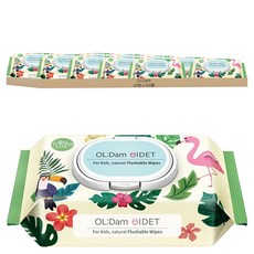 OLDam 可沖式兒童用濕紙巾, 62張 x 10包