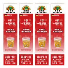 SUNLIFE 森萊富 B群+電解質發泡錠 橘子葡萄柚口味, 20顆, 80g, 4盒