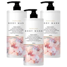 COCO No.5 奢華香水沐浴乳, 3個, 1L